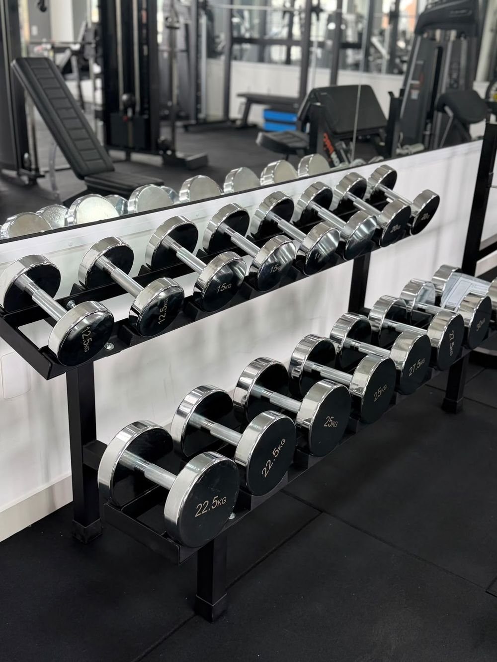 Halteres até 30 kg